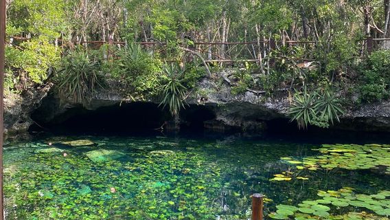 Cenote Nic Te Ha