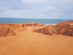 Natural Monument of Beberibe Cliffs
