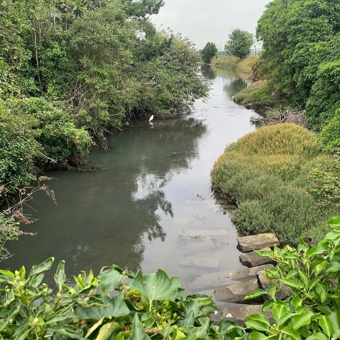 Booterstown Bird Sanctuary 주변 호텔