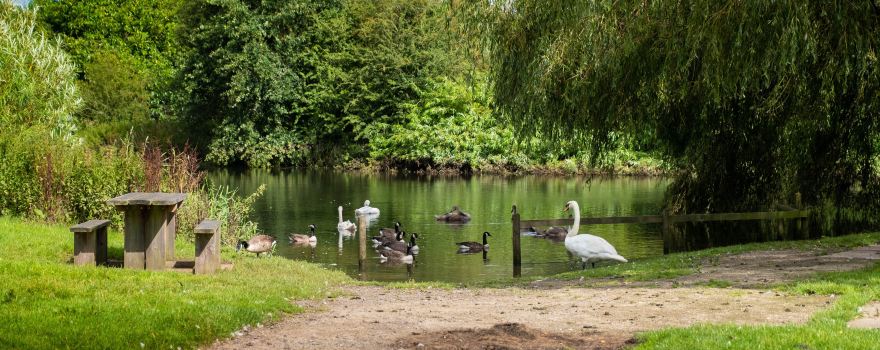 Kingsbury Water Park