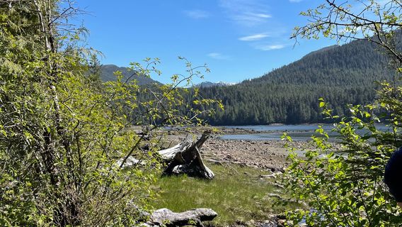 Butze Rapid Trail