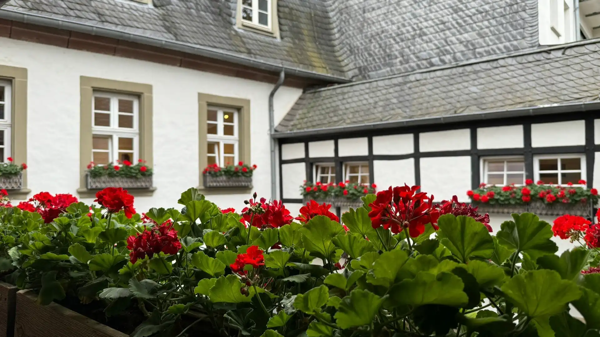 Hotel berhampiran Karl Marx House