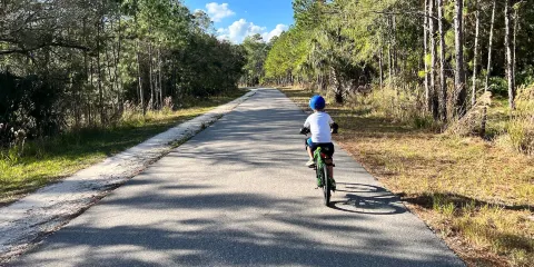Flatwoods Wilderness Park
