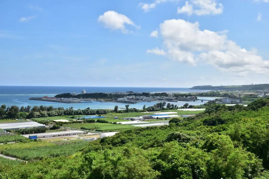 Hotels near Ojima Island