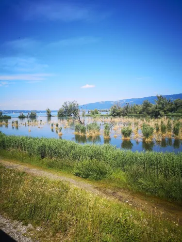 Lustenau