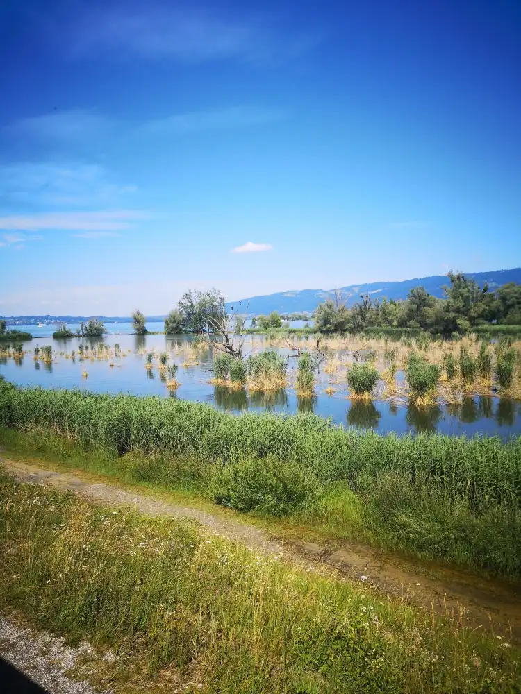 Lustenau