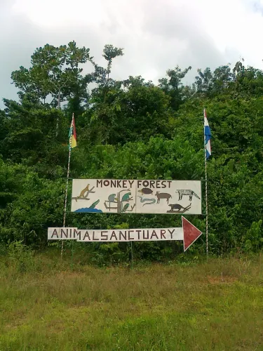 Monkey Forest Resort
