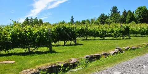La Halte des Pelerins