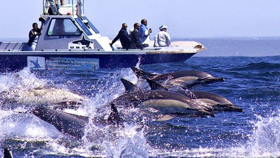 Port Elizabeth