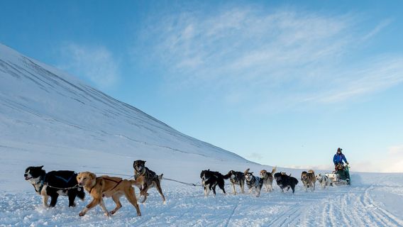 Longyearbyen