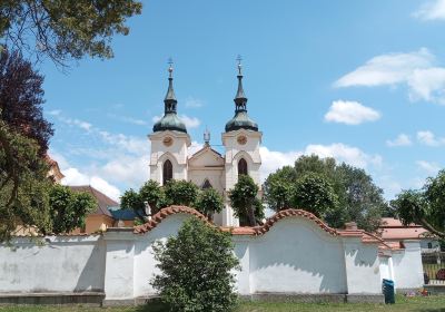 Zeliv