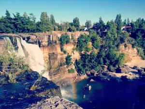 Saltos del Laja