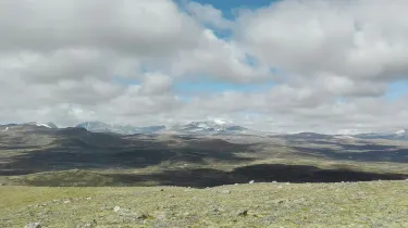 DombAs Nasjonalparksenter