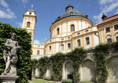 Јаромјержице на Рокитни