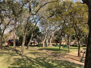 Lion Park Harare
