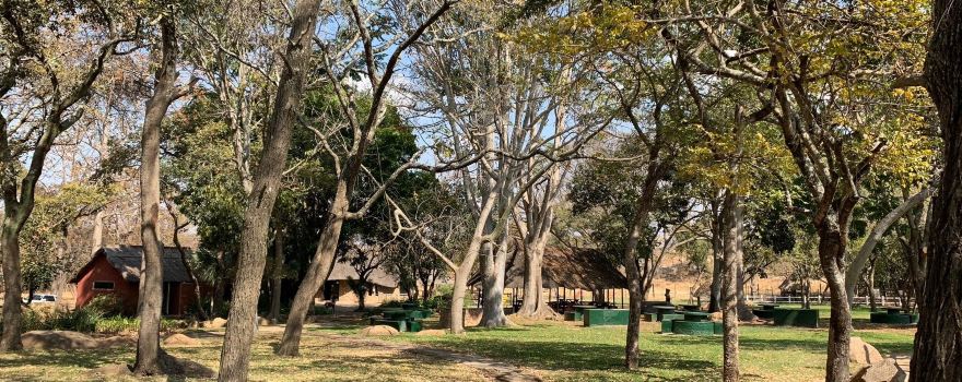 Lion Park Harare