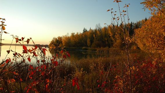 Thunder Lake Provincial Park