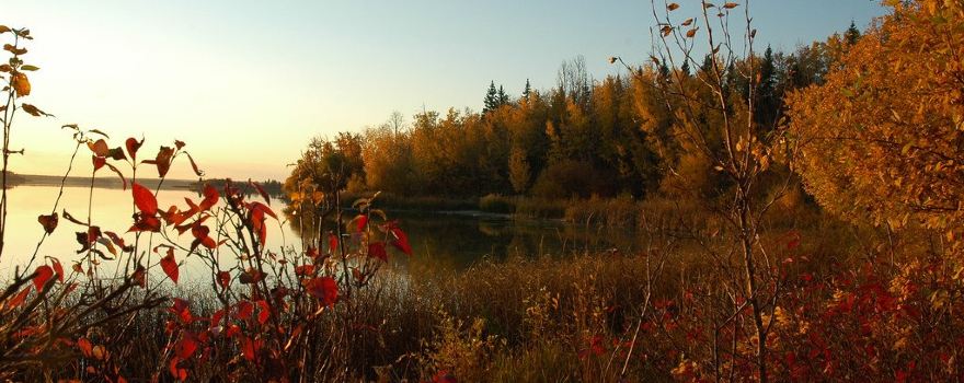 Thunder Lake Provincial Park