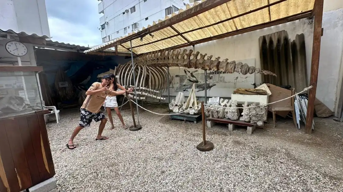 Hotels near Museo de las Ballenas