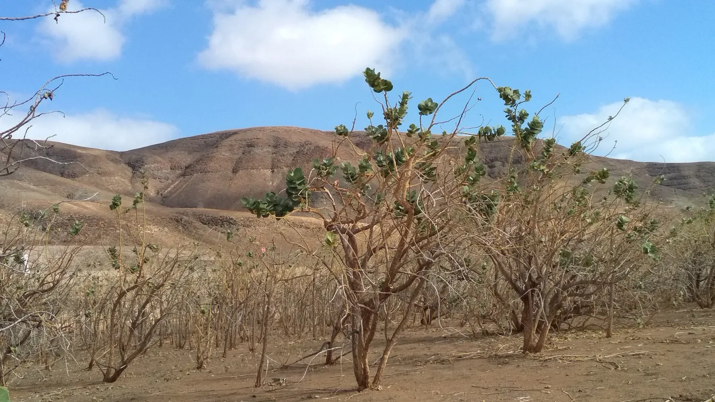 4_El Centro de Interpretacion Poblado of the Atalayita