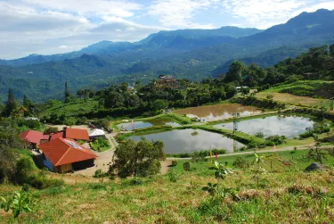La Mesa