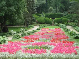 Park Zdrojowy