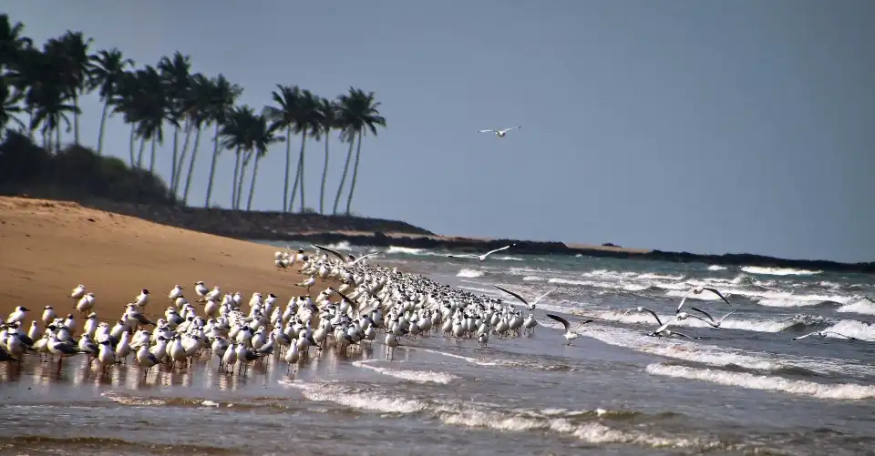 5_Devbag Beach