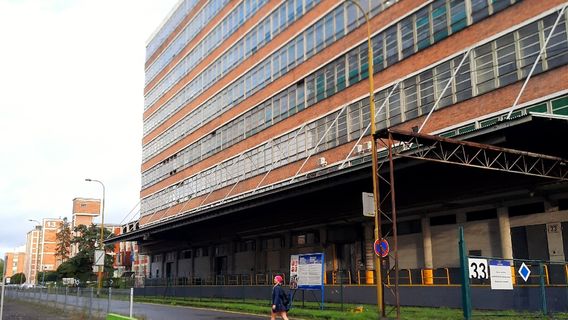 14 | 15 BATA INSTITUTE