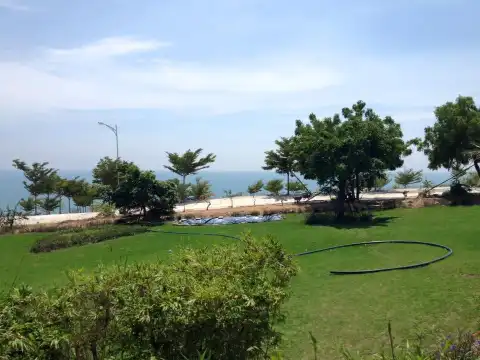 鄰近稻草島的酒店