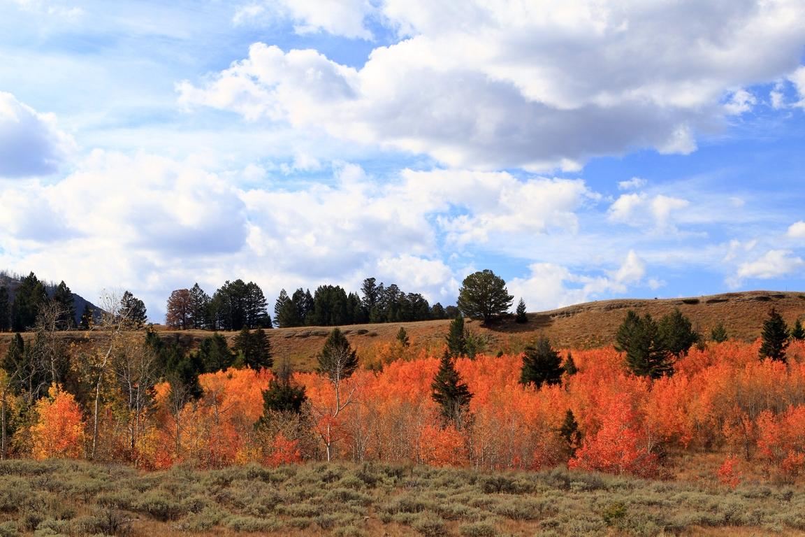 Dead Indian Summit Overlook