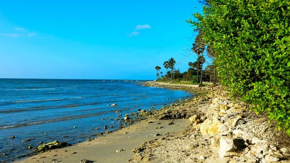 Jambukōlapattinam Sangamiththa Buddhist Temple