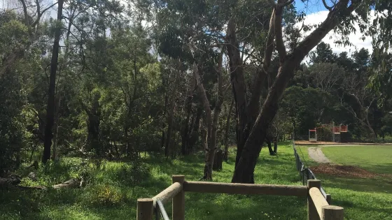 Olivers Creek Bushland Reserve