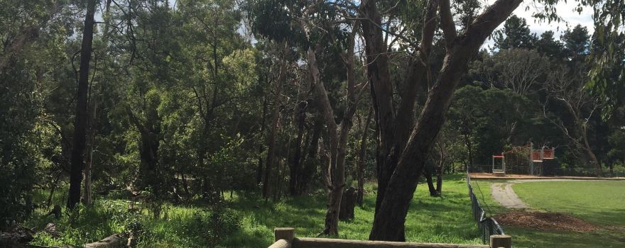 Olivers Creek Bushland Reserve