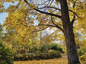 Disponentparken