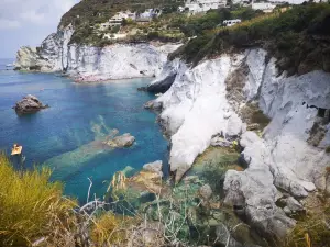 Piscine Naturali
