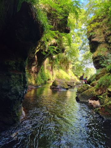 Killearn