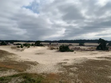 Hulshorst