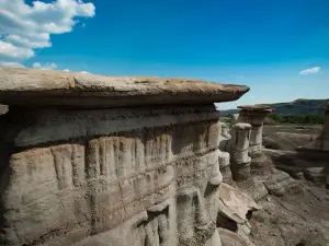 The Hoodoos