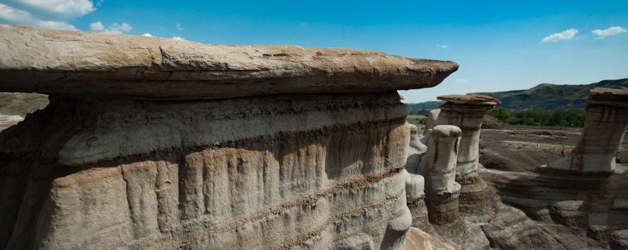The Hoodoos