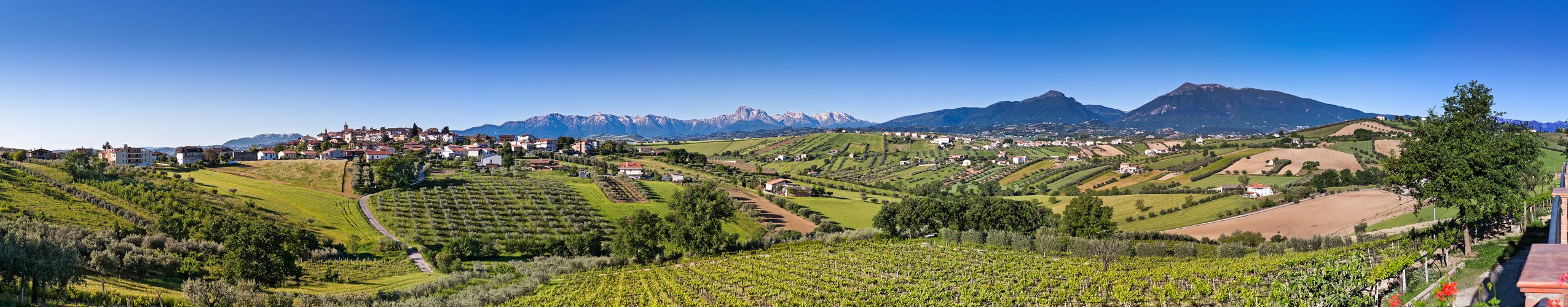Torano Nuovo