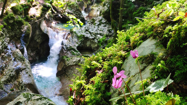 Ponte Romana de Catribana