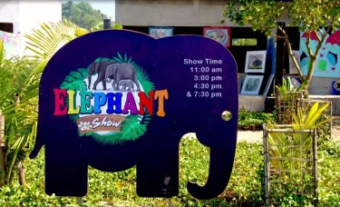 Elephant Show