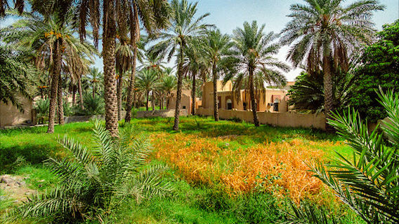 Harat Burj Al Maqaseer