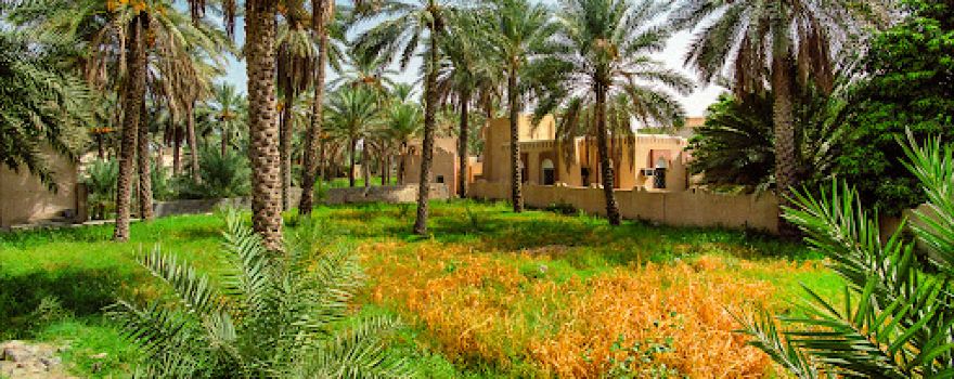 Harat Burj Al Maqaseer