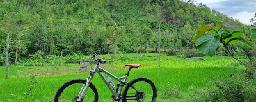 GOA KEMBAR