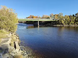 Springs Park