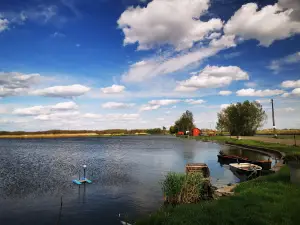 Reed Carp Lake