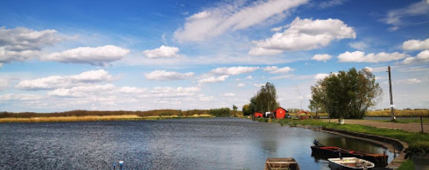 Reed Carp Lake
