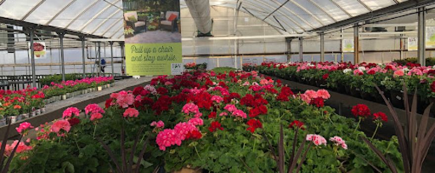 Del's Garden Center