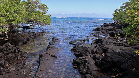 Camino de Tortugas Gigantes